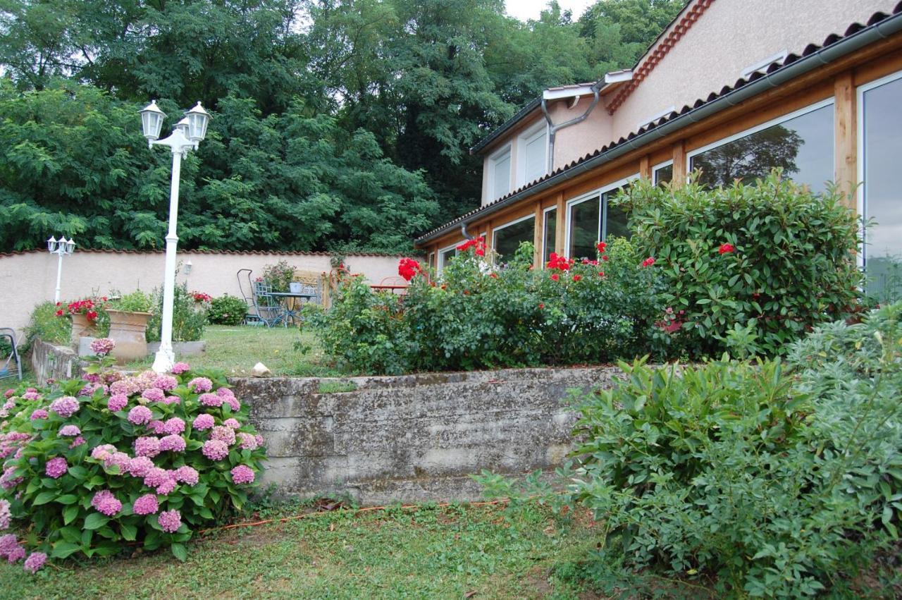 Villa Panoramique Saint-Clair-du-Rhone Exterior foto